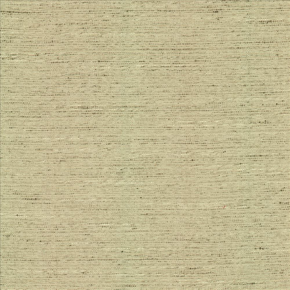 Adjoin Ecru by Kasmir Designer Fabric See sample 100% Polyester
 INDIA 5,000 Wyzenbeek Double Rubs </p><p>Repeat: Horizontal: N/A and Vertical: N/A 54 - Swanky Fabrics -