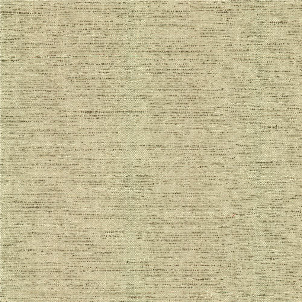 Adjoin Ecru by Kasmir Designer Fabric 5170 100% Polyester
 INDIA 5,000 Wyzenbeek Double Rubs </p><p>Repeat: Horizontal: N/A and Vertical: N/A 54 - Swanky Fabrics -