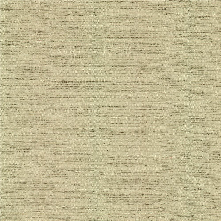 Adjoin Ecru by Kasmir Designer Fabric 5170 100% Polyester
 INDIA 5,000 Wyzenbeek Double Rubs </p><p>Repeat: Horizontal: N/A and Vertical: N/A 54 - Swanky Fabrics -