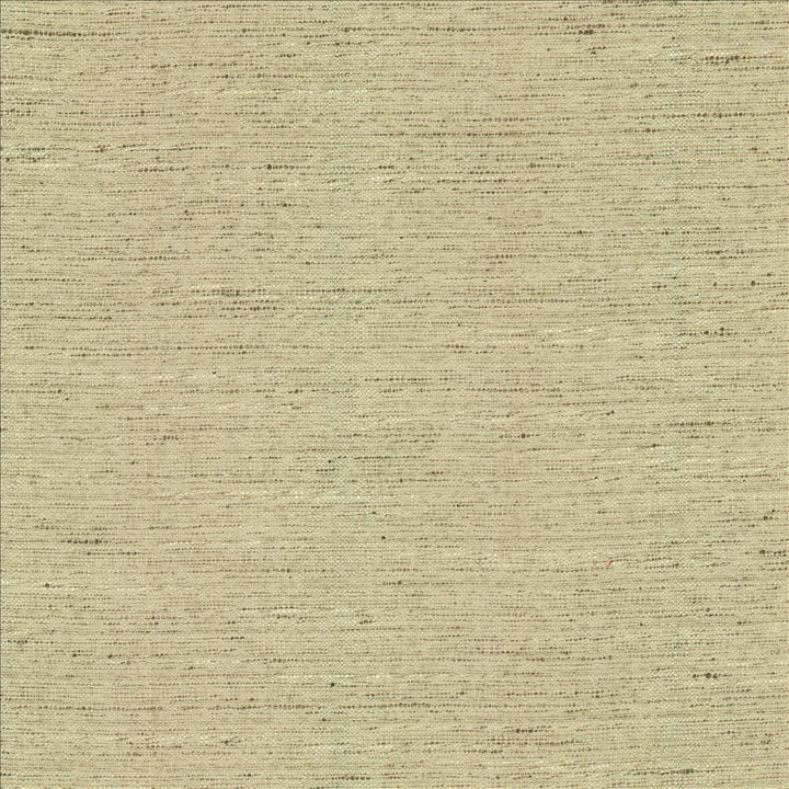 Adjoin Ecru by Kasmir Designer Fabric 5170 100% Polyester
 INDIA 5,000 Wyzenbeek Double Rubs </p><p>Repeat: Horizontal: N/A and Vertical: N/A 54 - Swanky Fabrics -
