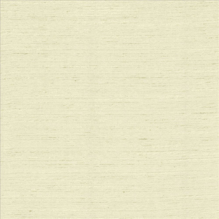 Adjoin Linen by Kasmir Designer Fabric See sample 100% Polyester
 INDIA 5,000 Wyzenbeek Double Rubs </p><p>Repeat: Horizontal: N/A and Vertical: N/A 54 - Swanky Fabrics -