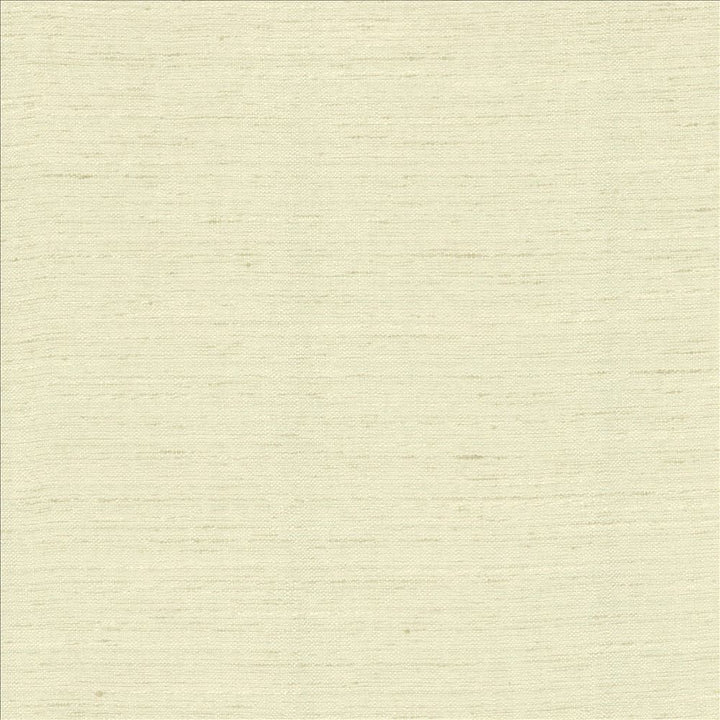 Adjoin Linen by Kasmir Designer Fabric 5170 100% Polyester
 INDIA 5,000 Wyzenbeek Double Rubs </p><p>Repeat: Horizontal: N/A and Vertical: N/A 54 - Swanky Fabrics -