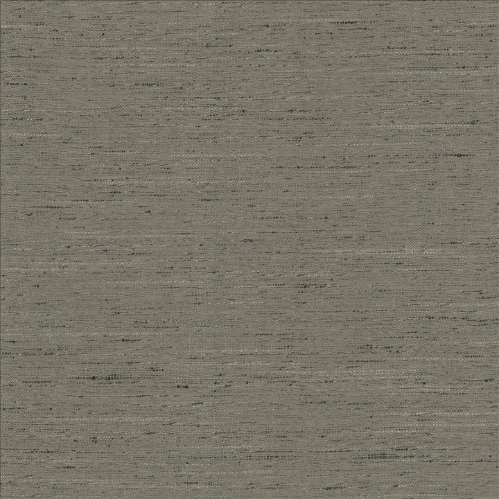 Adjoin Slate by Kasmir Designer Fabric 5170 100% Polyester
 INDIA 5,000 Wyzenbeek Double Rubs </p><p>Repeat: Horizontal: N/A and Vertical: N/A 54 - Swanky Fabrics -
