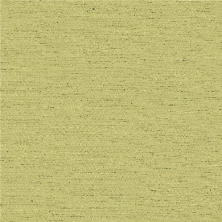Adjoin Willow by Kasmir Designer Fabric 5170 100% Polyester
 INDIA 5,000 Wyzenbeek Double Rubs </p><p>Repeat: Horizontal: N/A and Vertical: N/A 54 - Swanky Fabrics -