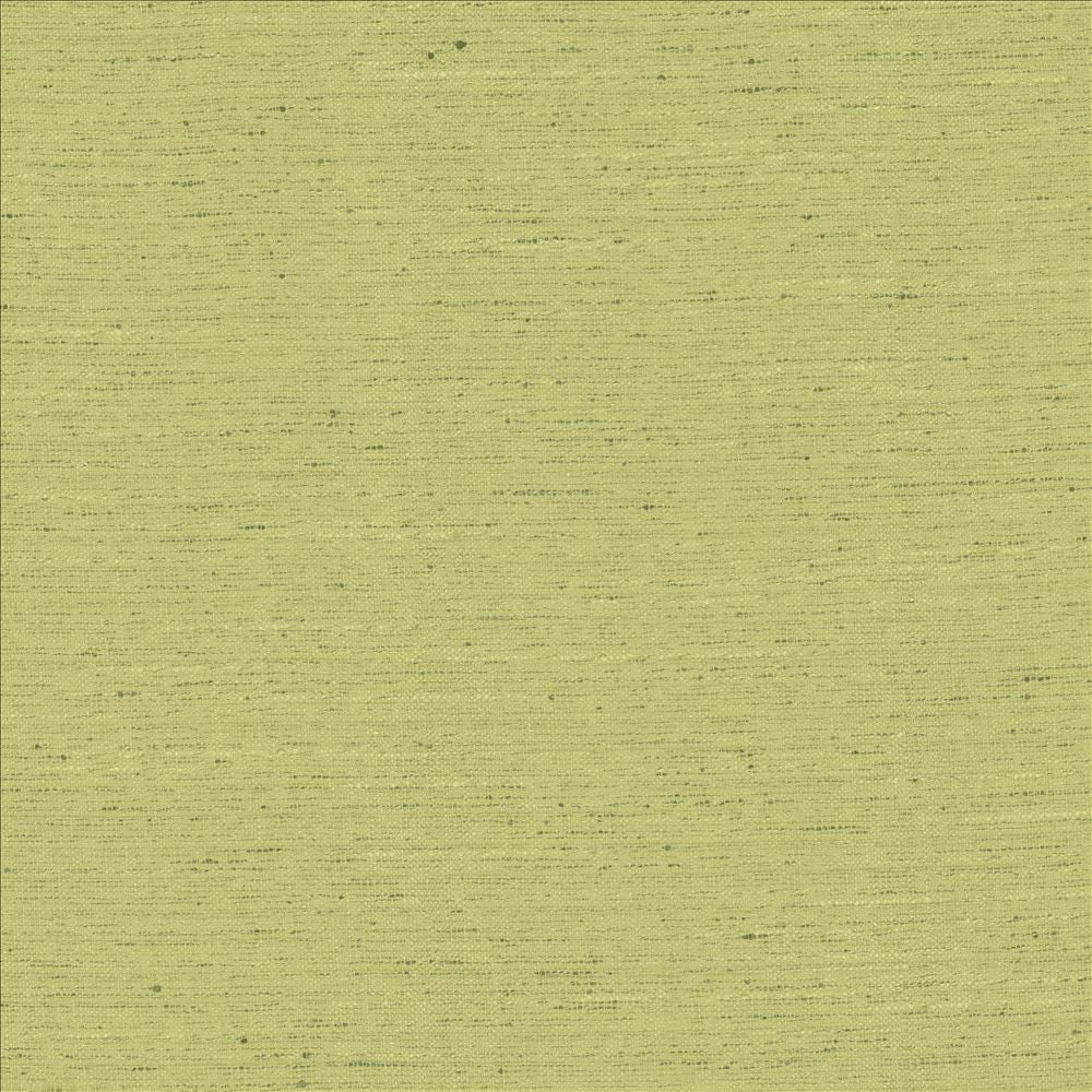 Adjoin Willow by Kasmir Designer Fabric See sample 100% Polyester
 INDIA 5,000 Wyzenbeek Double Rubs </p><p>Repeat: Horizontal: N/A and Vertical: N/A 54 - Swanky Fabrics -