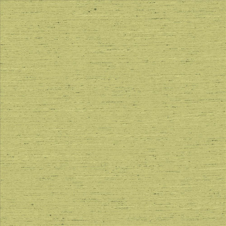 Adjoin Willow by Kasmir Designer Fabric See sample 100% Polyester
 INDIA 5,000 Wyzenbeek Double Rubs </p><p>Repeat: Horizontal: N/A and Vertical: N/A 54 - Swanky Fabrics -