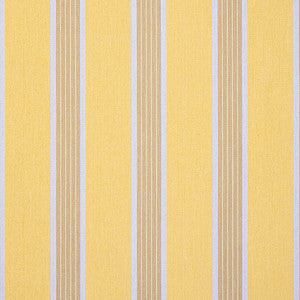 Sunbrella Fabric D107 Manosque Yellow