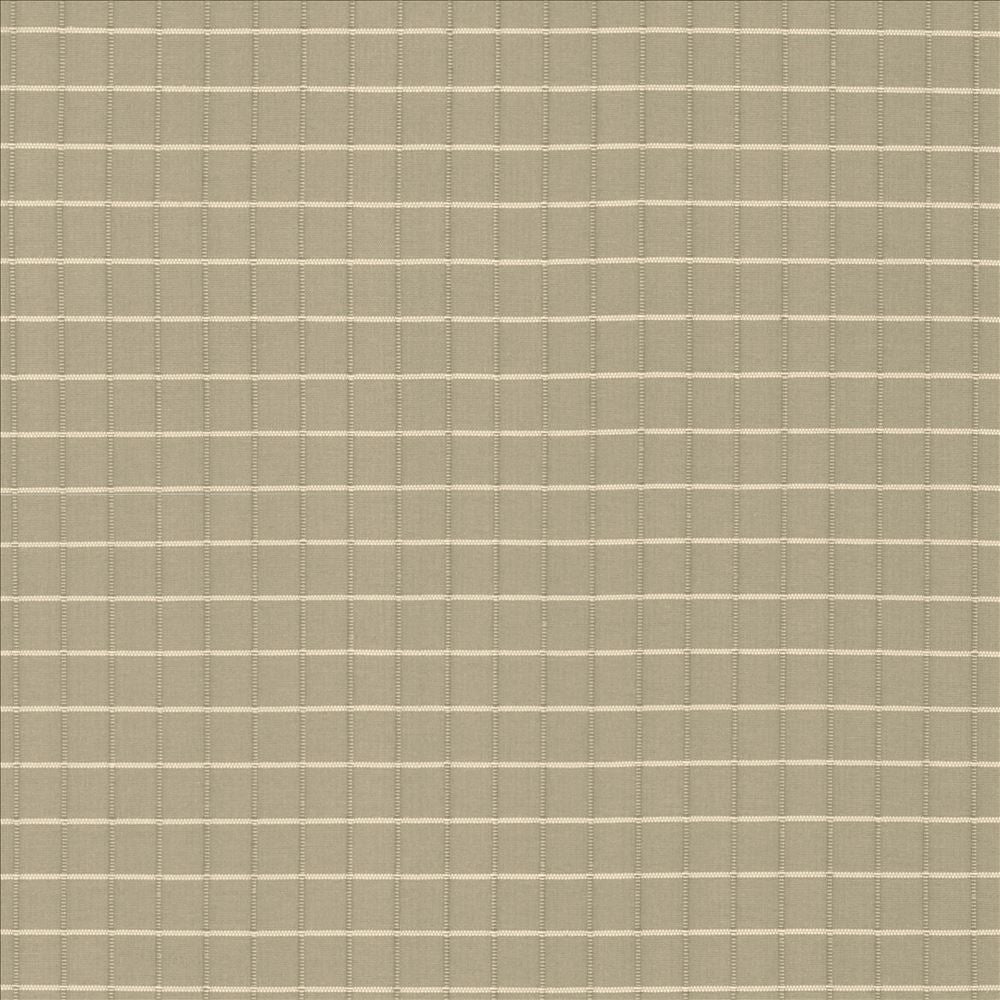 Alder Bark by Kasmir Designer Fabric 5092 100% Polyester INDIA Not Tested Horizontal: 4/8 inches and Vertical: 4/8 inches 54 - Swanky Fabrics -