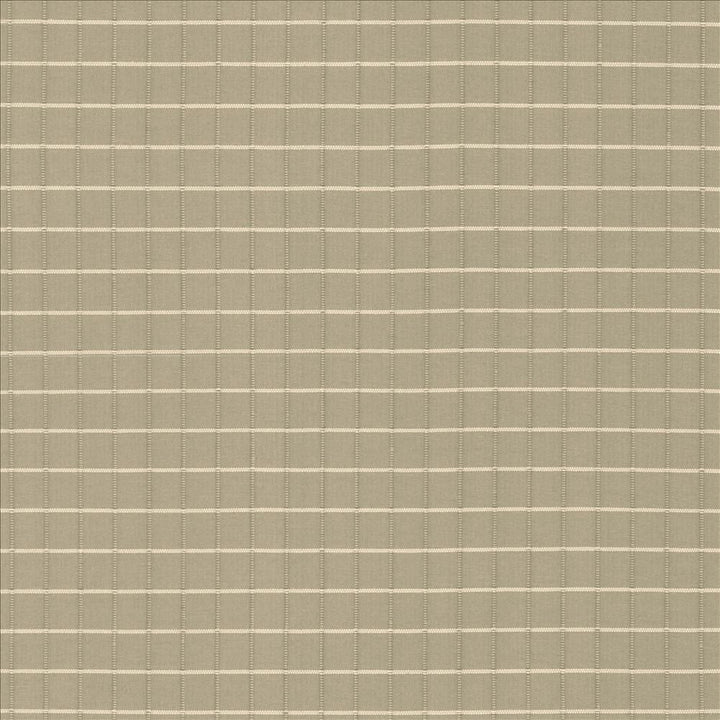 Alder Bark by Kasmir Designer Fabric 5092 100% Polyester
 INDIA Not Tested </p><p>Repeat: Horizontal: 4/8 inches and Vertical: 4/8 inches 54 - Swanky Fabrics -