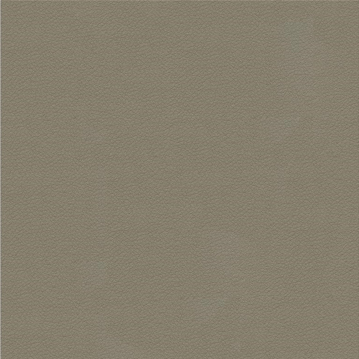 ALI.11 by Kravet Design Designer Fabric Ultraleather Plus IV 100% Leather Japan Heavy Horizontal: see sample and Vertical: see sample 54 inches - Swanky Fabrics -