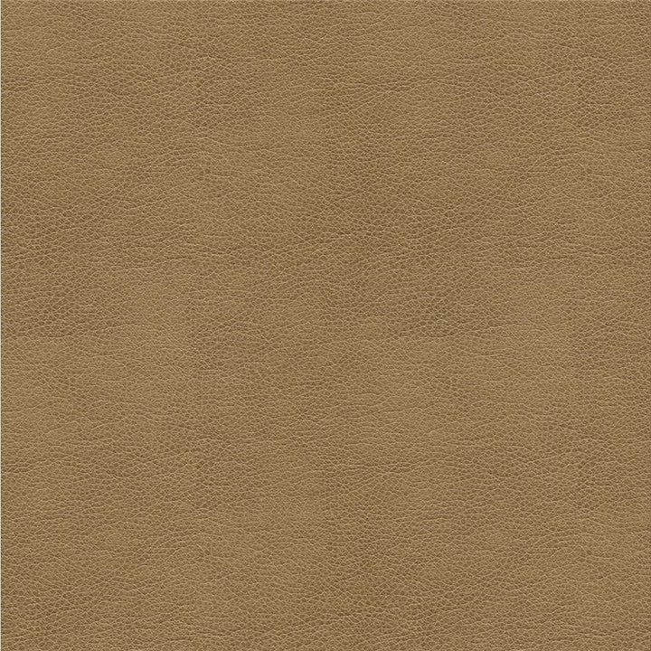 ALINA.106 by Kravet Smart Designer Fabric our website for purchase 100% Leather China Heavy Horizontal: see sample and Vertical: see sample 55 inches - Swanky Fabrics -