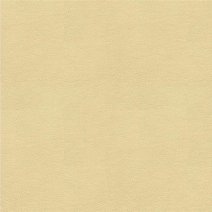 ALINA.116 by Kravet Smart Designer Fabric our website for purchase 100% Leather China Heavy Horizontal: see sample and Vertical: see sample 55 inches - Swanky Fabrics -