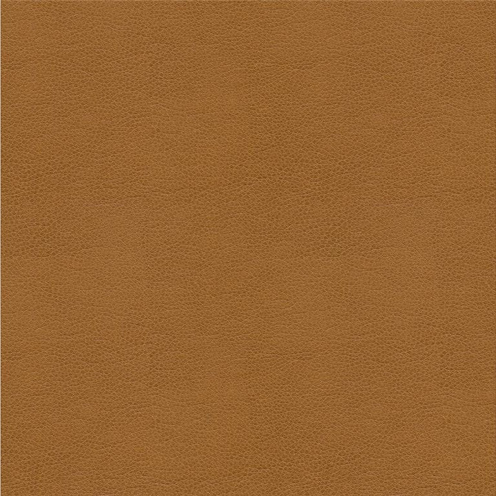 ALINA.16 by Kravet Smart Designer Fabric our website for purchase 100% Leather China Heavy Horizontal: see sample and Vertical: see sample 55 inches - Swanky Fabrics -