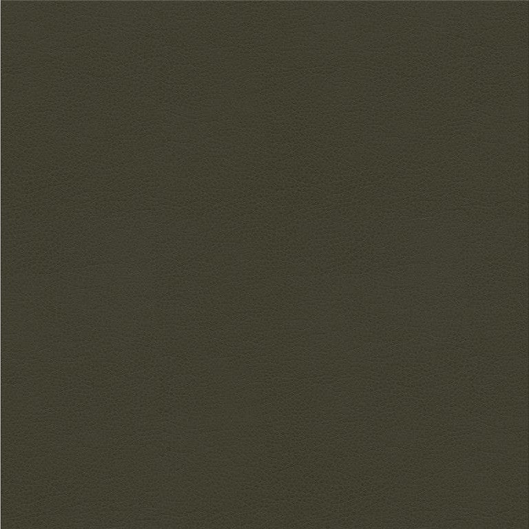 ALINA.21 by Kravet Smart Designer Fabric our website for purchase 100% Leather China Heavy Horizontal: see sample and Vertical: see sample 55 inches - Swanky Fabrics -