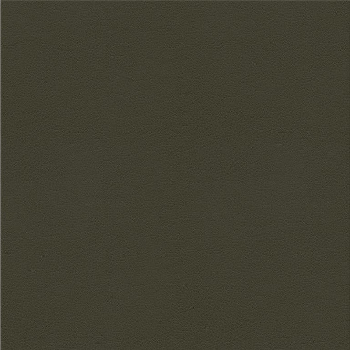 ALINA.21 by Kravet Smart Designer Fabric our website for purchase 100% Leather China Heavy Horizontal: see sample and Vertical: see sample 55 inches - Swanky Fabrics -