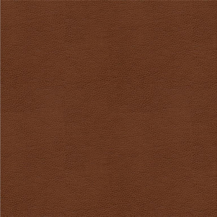 ALINA.6 by Kravet Smart Designer Fabric our website for purchase 100% Leather China Heavy Horizontal: see sample and Vertical: see sample 55 inches - Swanky Fabrics -