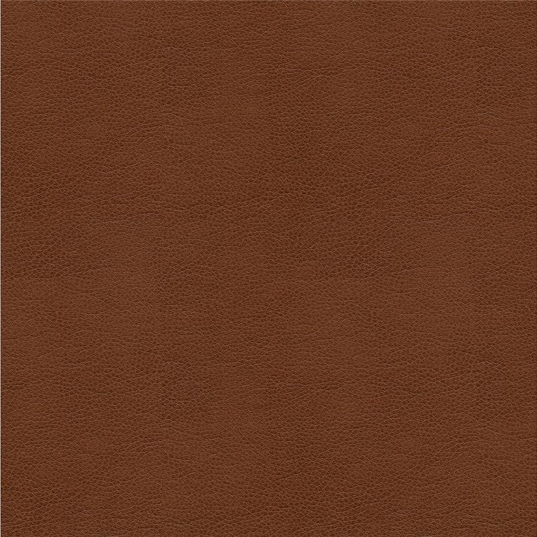ALINA.6 by Kravet Smart Designer Fabric our website for purchase 100% Leather China Heavy Horizontal: see sample and Vertical: see sample 55 inches - Swanky Fabrics -