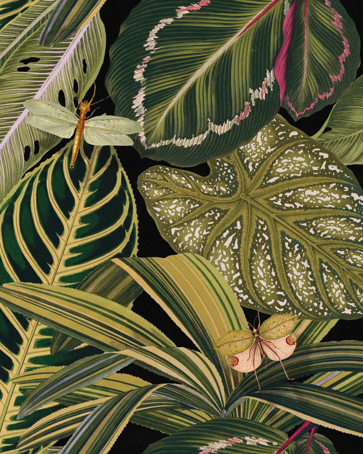 Amazonia wallpaper by Mind the Gap (WP20159), swatch