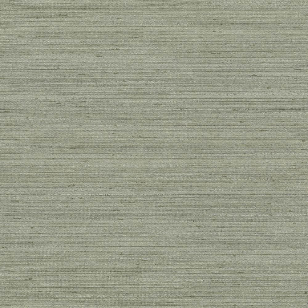 Anantara Silver Sage by Kasmir Designer Fabric 5059 100% Polyester
 INDIA </p><p>Repeat: Horizontal: N/A and Vertical: N/A 55 - 56 - Swanky Fabrics -