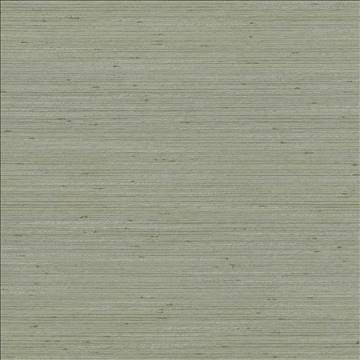 Anantara Silver Sage by Kasmir Designer Fabric 5059 100% Polyester INDIA 30,000 Wyzenbeek Double Rubs H: N/A, V: N/A 55 - 56 - Swanky Fabrics - Kasmir