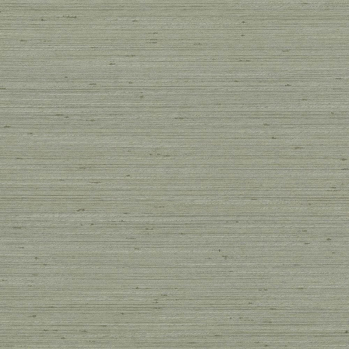 Anantara Silver Sage by Kasmir Designer Fabric 5059 100% Polyester
 INDIA 30,000 Wyzenbeek Double Rubs </p><p>Repeat: Horizontal: N/A and Vertical: N/A 55 - Swanky Fabrics -