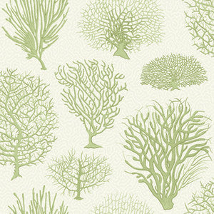 Cole & Son Wallpaper Seafern Soft Green