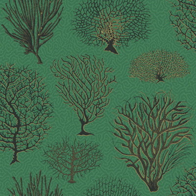 Cole & Son Wallpaper Seafern Emerald