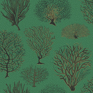 Cole & Son Wallpaper Seafern Emerald