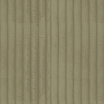 Kravet Fabric 34368-116