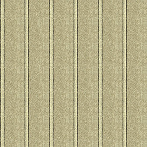 Kravet Fabric 34087-811