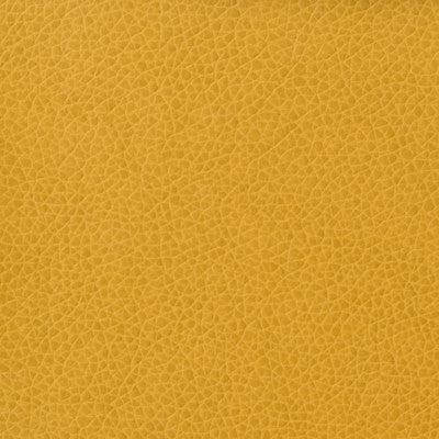 Kravet Fabric Matter-414