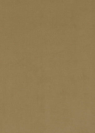 Baker Lifestyle Fabric Milborne Bronze