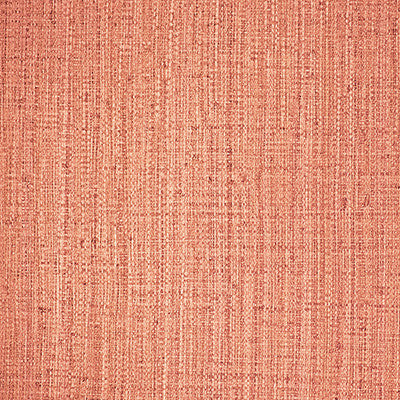 Gaston Y Daniela Wallpaper Ayllon Naranja