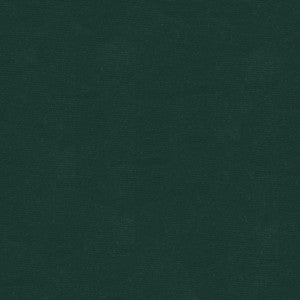 Kravet Fabric Versailles-E267020