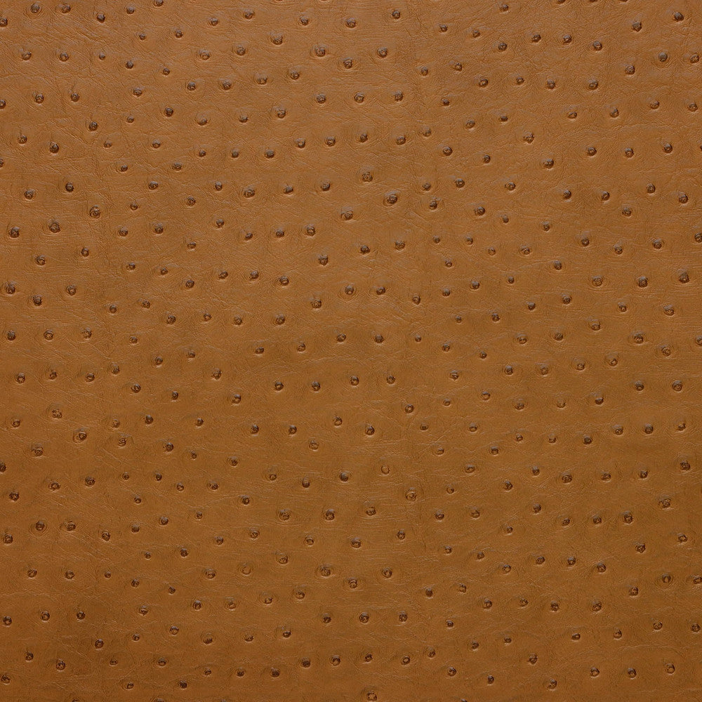 Kravet Fabric Senna-616