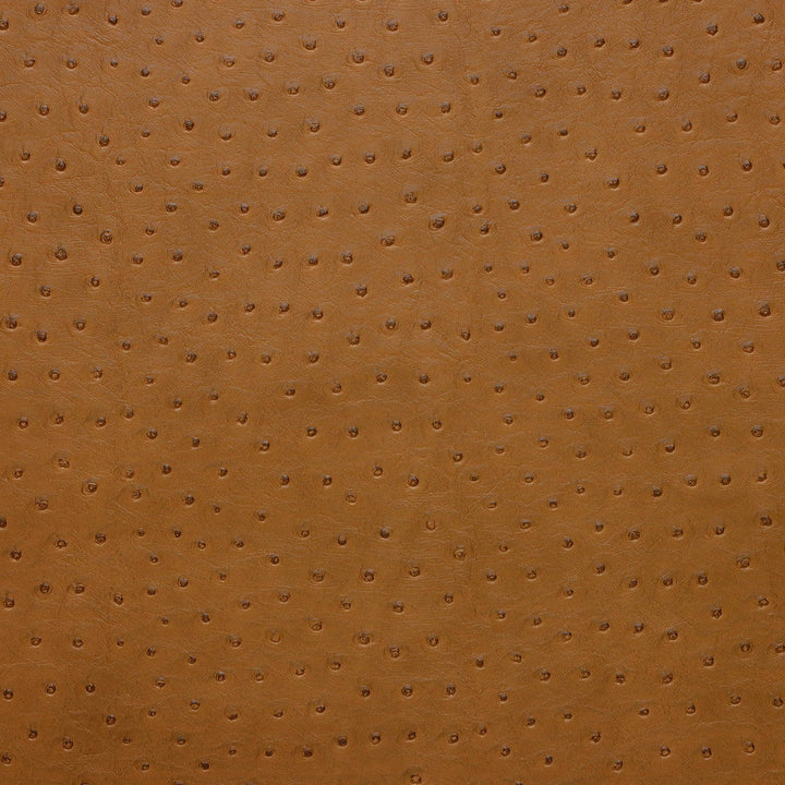 Kravet Fabric Senna-616