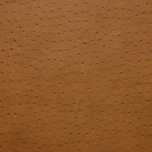 Kravet Fabric Senna-616