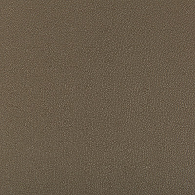 Kravet Fabric Syrus Porcini
