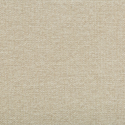 Kravet Fabric 35407-116