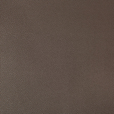 Kravet Fabric Syrus Espresso