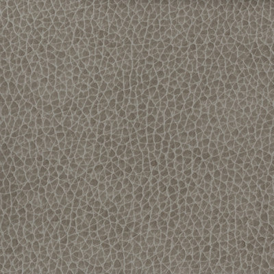 Kravet Fabric Matter-1121