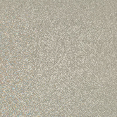 Kravet Fabric Syrus Stingray