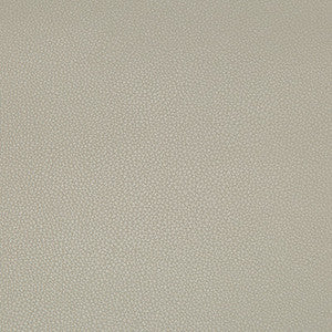 Kravet Fabric Syrus Stingray