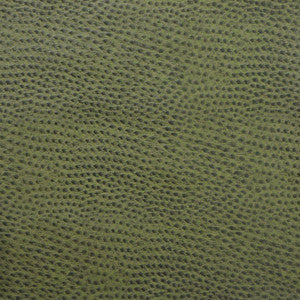 Kravet Fabric Delaney-3