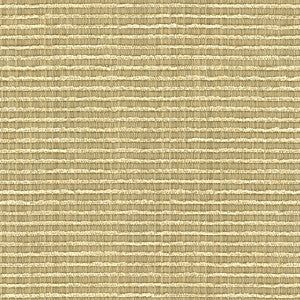 Kravet Fabric 32946-1616