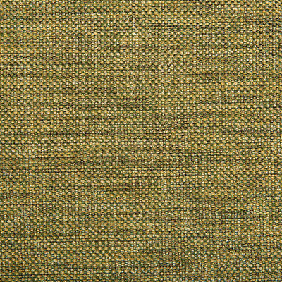 Kravet Fabric 34926-314