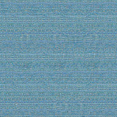 Kravet Fabric 31695-313
