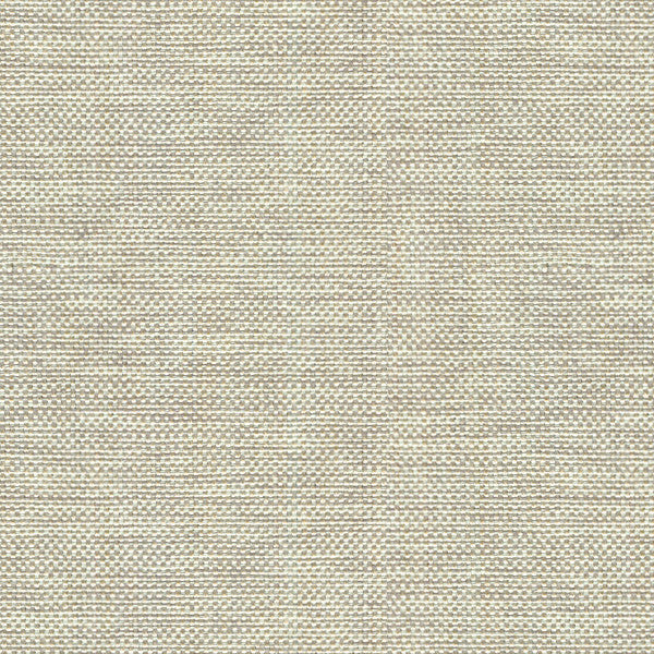 Kravet Fabric 30299-106