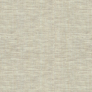 Kravet Fabric 30299-106