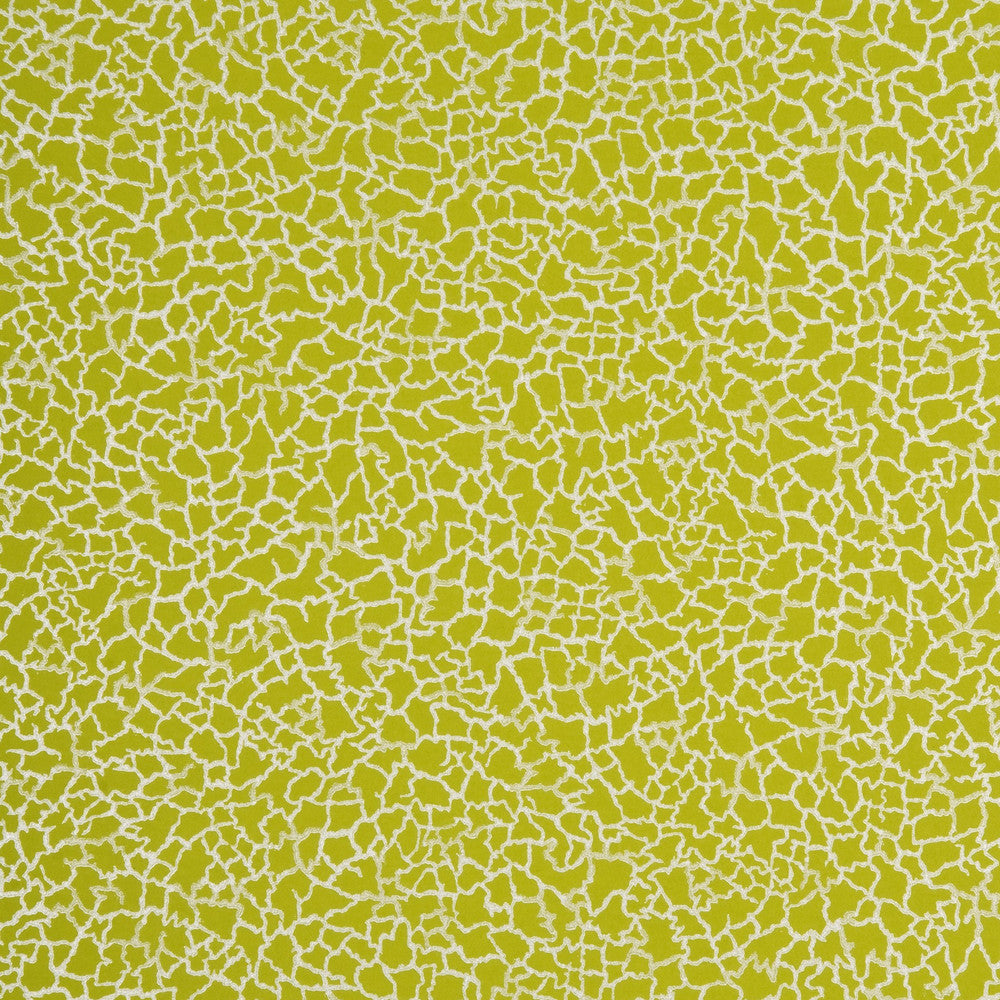 Baker Lifestyle Wallpaper Ming Lime/Silver